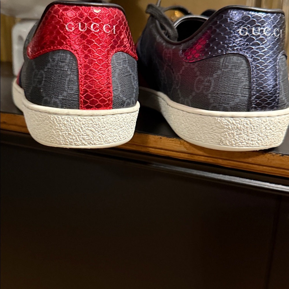 Gucci gg Ace Supreme - Picture 4 of 9